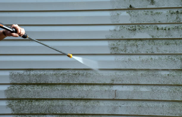 Reliable Hollywood Park, TX Pressure washing Solutions